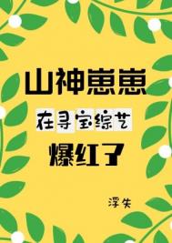 山神崽崽在寻宝综艺爆红了小说